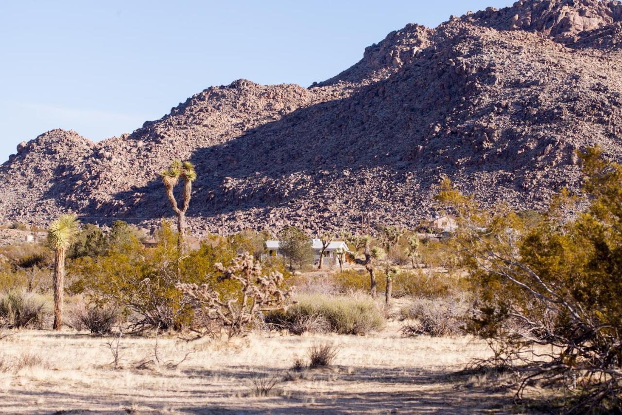 @ Marbella Lane - 10 Acres Oasis Desert Retreat! Joshua Tree Dış mekan fotoğraf